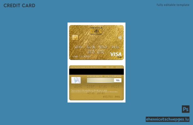 Sri Lanka Bank of Ceylon Bank Visa Goldkarte – Beispielvorschau